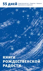 Александр Логунов - Книга Рождественской радости. 55 дней. Рождественский пост – Рождество – Крещение. Вдохновение на каждый день