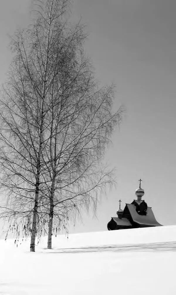 28 ноября Мучеников и исповедников Гурия Самона и Авива Преподобного Паисия - фото 1