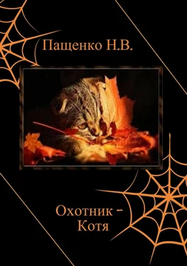 Наталия Пащенко Охотник Котя обложка книги
