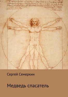 Сергей Семеркин Медведь-спасатель обложка книги