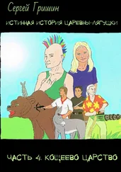 Сергей Гришин - Истинная история царевны-лягушки. Часть 4. Кощеево царство. Оптимистический постапокалипсис