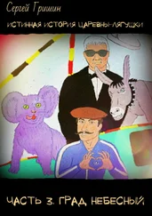 Сергей Гришин - Истинная история царевны-лягушки. Часть 3. Град небесный. Оптимистический постапокалипсис