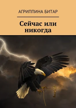 Агриппина Битар Сейчас или никогда обложка книги