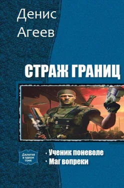 Денис Агеев Страж границ (СИ) обложка книги