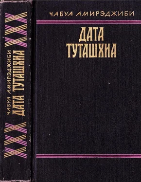 Чабуа Амирэджиби Дата Туташхиа обложка книги