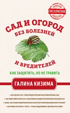 Галина Кизима Сад и огород без болезней и вредителей. Как защитить, но не травить обложка книги