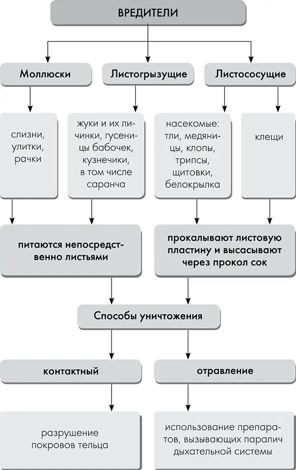 Определенные виды вредителей питаются соками растений только какогото одного - фото 7