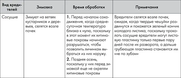 Необходимо собирать зараженные клещами почки вручную или даже вырезать - фото 8