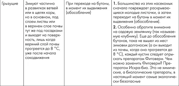 Необходимо собирать зараженные клещами почки вручную или даже вырезать - фото 9