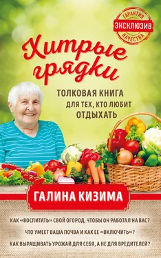 Галина Кизима Хитрые грядки. Толковая книга для тех, кто любит отдыхать обложка книги