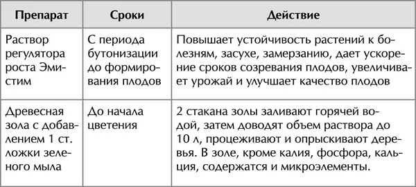После цветения яблони обязательно опрыскивают раствором гумата калия Суфлер - фото 13