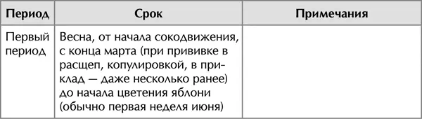 При прививке надо учитывать расположение ветвей чем круче вверх направлена - фото 20