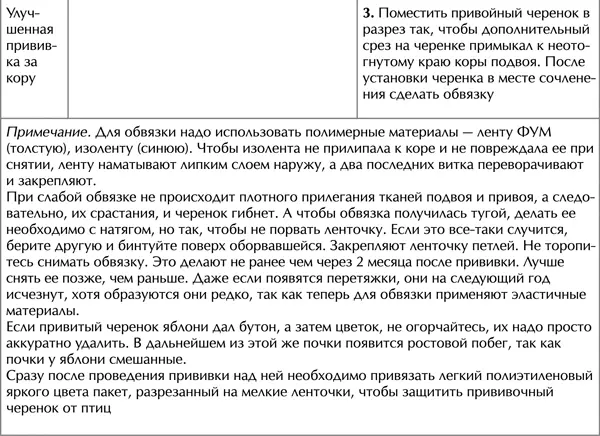 Сезонные сорта яблок Степень лежкости яблок зависит от сезонности сорта Чем - фото 24