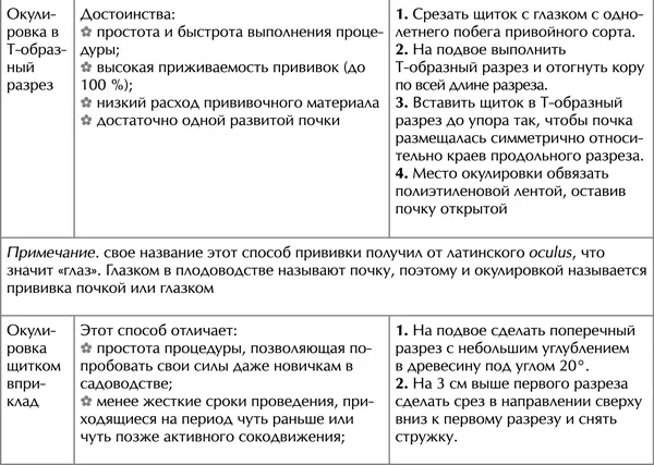 Сезонные сорта яблок Степень лежкости яблок зависит от сезонности сорта Чем - фото 25