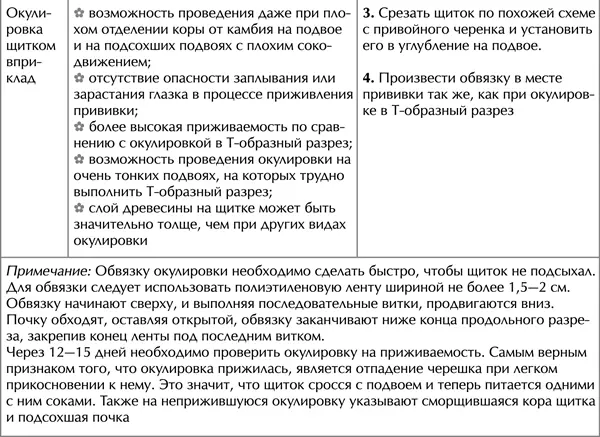 Сезонные сорта яблок Степень лежкости яблок зависит от сезонности сорта Чем - фото 26