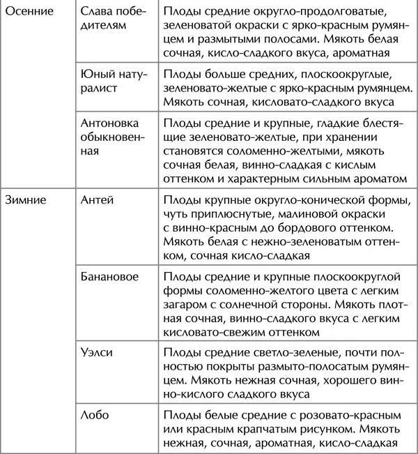 Наиболее зимостойкие сорта Россошанское полосатое Апрельское Северный - фото 30