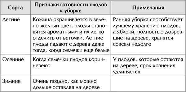 Полезные свойства яблок В плодах содержатся витамины А В 1 В 2 В 3и В 6 С - фото 32