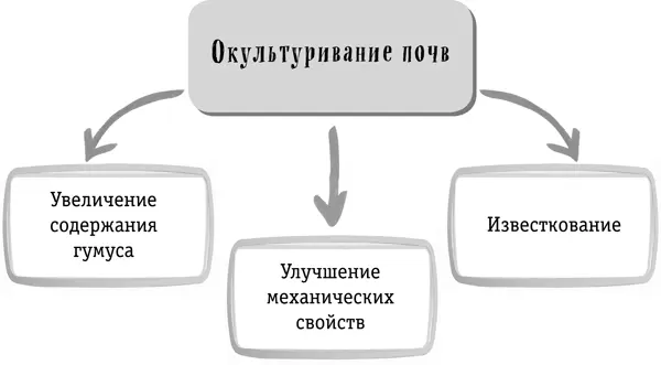 Время посадки определяется климатическими условиями Для посадки подходят и - фото 3