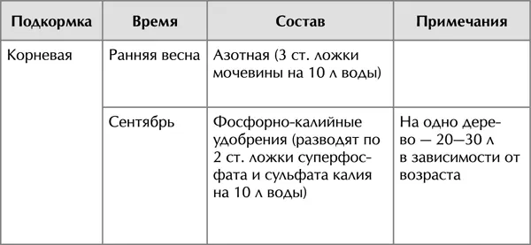 Междурядья в молодых до 5летнего возраста посадках яблонь можно использовать - фото 10