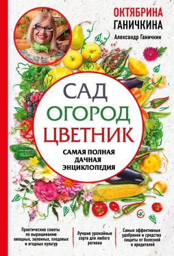 Октябрина Ганичкина Сад. Огород. Цветник. Самая полная дачная энциклопедия обложка книги