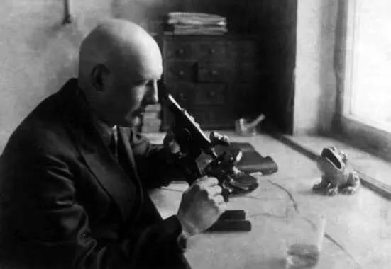 Д Н Насонов в 1920х годах в Ленинградском университете Здесь и далее из - фото 15