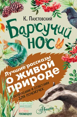 Константин Паустовский Барсучий нос. С вопросами и ответами для почемучек обложка книги