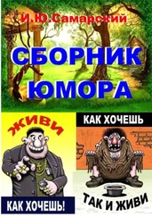 Игорь Самарский - Книга юмора