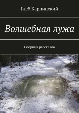 Глеб Карпинский Волшебная лужа. Сборник рассказов обложка книги