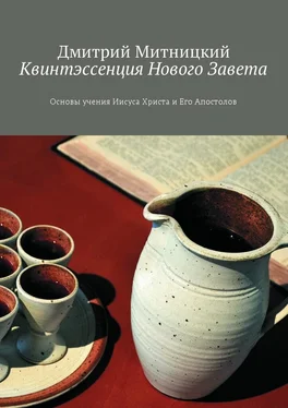 Дмитрий Митницкий Квинтэссенция Нового Завета. Основы учения Иисуса Христа и Его Апостолов обложка книги