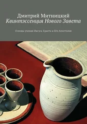 Дмитрий Митницкий - Квинтэссенция Нового Завета. Основы учения Иисуса Христа и Его Апостолов