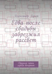 Александр Брит - Едва после свадьбы забрезжил рассвет. Друзьям моим, героям вечеринок