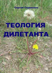 Сергей Серванкос - Теология дилетанта
