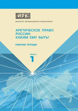 Н. Замятина Рабочие тетради. Выпуск 1. Арктическое право России: Каким ему быть? обложка книги