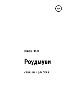 Олег Швец Роудмуви обложка книги