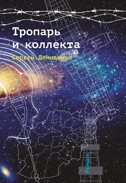 Сергей Демиденко Тропарь и коллекта обложка книги