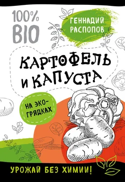 Геннадий Распопов Картофель и капуста на эко грядках. Урожай без химии обложка книги