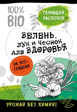 Геннадий Распопов Зелень для здоровья. Лук и чеснок на эко грядках обложка книги