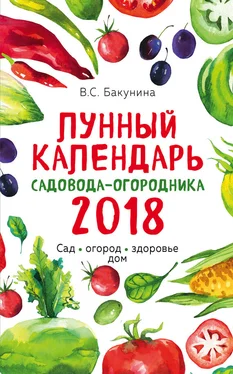 Виктория Бакунина Лунный календарь садовода-огородника 2018. Сад, огород, здоровье, дом обложка книги