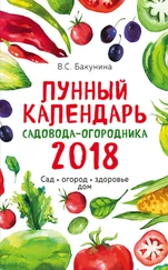 Виктория Бакунина - Лунный календарь садовода-огородника 2018. Сад, огород, здоровье, дом