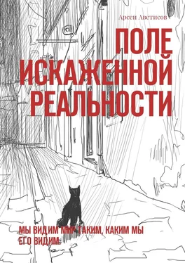 Арсен Аветисов Поле искаженной реальности. Мы видим мир таким, каким мы его видим обложка книги