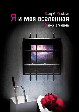 Валерий Михайлов Я и моя вселенная. Уроки эгоизма обложка книги