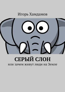 Игорь Хамдамов Серый слон. Или зачем живут люди на Земле обложка книги