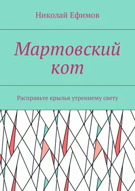 Николай Ефимов Мартовский кот. Расправьте крылья утреннему свету обложка книги