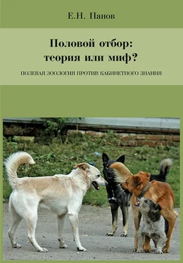 Евгений Панов Половой отбор: теория или миф? Полевая зоология против кабинетного знания обложка книги