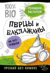 Геннадий Распопов - Перцы и баклажаны на экогрядках. Урожай без химии