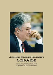 Коллектив авторов - Академик Владимир Евгеньевич Соколов. Жизнь и научная деятельность в очерках и воспоминаниях