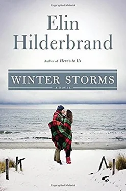 Elin Hilderbrand Winter Storms обложка книги