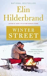 Elin Hilderbrand - Winter Street