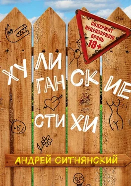 Андрей Ситнянский Хулиганские стихи обложка книги