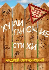 Андрей Ситнянский - Хулиганские стихи